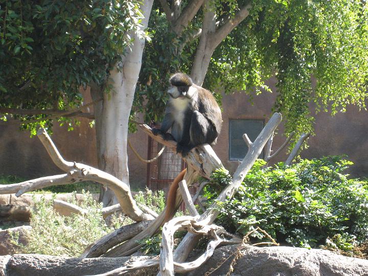 San Diego Trip 2 055.JPG
